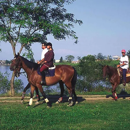 In 31391 Daire Lignano Sabbiadoro